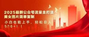 2025最新公众号流量主打法，美女图片简单复制，小白也能上手，轻松日入5张-尖峰创业资源网
