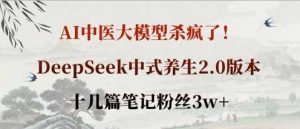 AI中医大模型杀疯了！DeepSeek中式养生2.0版本，十几篇笔记粉丝3w+-尖峰创业资源网