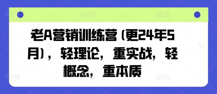 图片[1]-老A营销训练营(更25年3月)，轻理论，重实战，轻概念，重本质