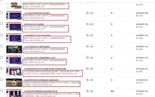 图片[2]-2025油管引流术，分享我是如何通过油管做引流的