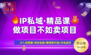 2025年“IP私域·密训精品课”,日赚3000+小白避坑年赚百万,暴力引流…-尖峰创业资源网
