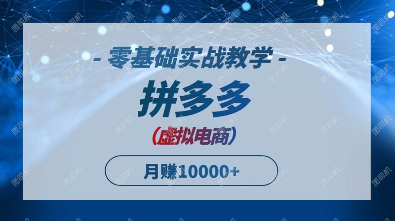 图片[1]-拼多多虚拟电商，零基础实战教学，快速打爆商品，新手也能月入10000+