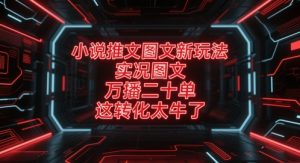 小说推文图文新玩法，实况图文，万播二十单，这转化太牛了！-尖峰创业资源网