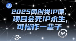 2025网创类IP课，项目会死IP永生，可操作一辈子-尖峰创业资源网