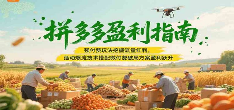 图片[1]-拼多多盈利指南：强付费玩法挖掘流量红利，活动爆流技术搭配微付费方案实现盈利跃升