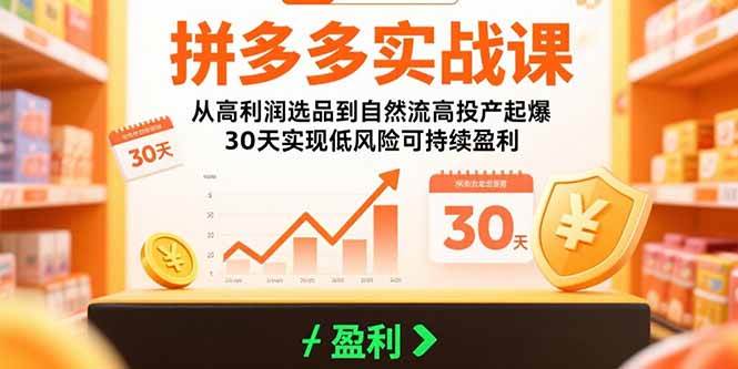 图片[1]-拼多多实战课：从高利润选品到自然流高投产起爆 30天实现低风险可持续盈利