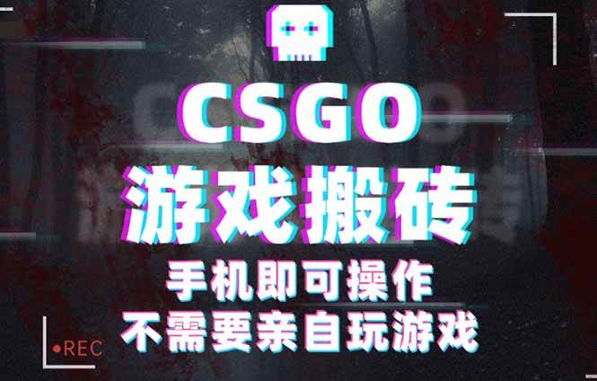 CSGO游戏挂机捡漏，单日扫货500+，年底小高峰上车可吃肉，手机即可操作… -1