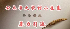deepseek写农村小项目，条条爆款，暴力引流-尖峰创业资源网