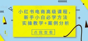 小红书电商高级课程，新手小白必学方法，实操教学+案例分析-尖峰创业资源网