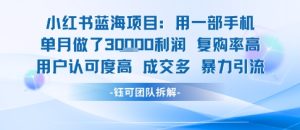 小红书蓝海项目，一部手机单月做了3W利润，小白也能月入过1W用户认可度高成交多-尖峰创业资源网