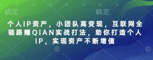 个人IP资产，小团队高变现，互联网全链路赚QIAN实战打法，助你打造个人IP，实现资产不断增值-尖峰创业资源网