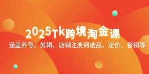 2025Tk跨境淘金课：涵盖养号、剪辑、店铺注册到选品、定价、营销等-尖峰创业资源网