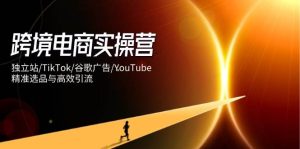 跨境电商实操营：独立站/TikTok/谷歌广告/YouTube，精准选品与高效引流-尖峰创业资源网