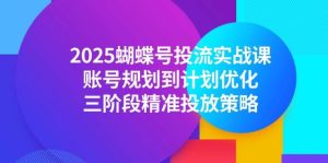 2025蝴蝶号投流实战课，账号规划到计划优化，三阶段精准投放策略-尖峰创业资源网