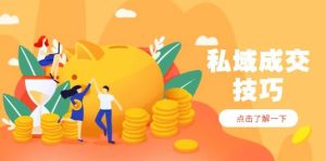 私域成交技巧,帮你从入门到精通,破解四大痛点,快速变现,轻松收钱-尖峰创业资源网