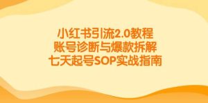 小红书引流2.0教程,账号诊断与爆款拆解,七天起号SOP实战指南-尖峰创业资源网
