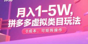 月入1-5W，拼多多虚拟类目玩法，0成本，可矩阵操作-尖峰创业资源网