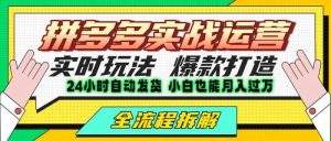 拼多多最新实战运营高投产：长久稳定项目，单店利润一天三位数-尖峰创业资源网