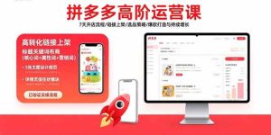 拼多多高阶运营课：7天开店流程/链接上架/选品策略/爆款打造与持续增长-尖峰创业资源网