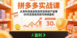 拼多多实战课：从高利润选品到自然流高投产起爆 30天实现低风险可持续盈利-尖峰创业资源网
