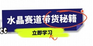 水晶赛道带货秘籍，国学结合、短视频起号、拍摄技巧、直播话术等内容-尖峰创业资源网