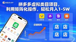 拼多多虚拟类目项目，利用矩阵化操作，轻松月入1-5W -1-尖峰创业资源网