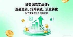 抖音爆品实战课：选品逻辑、矩阵裂变、流量转化，14节课掌握月入百万秘籍 -1-尖峰创业资源网